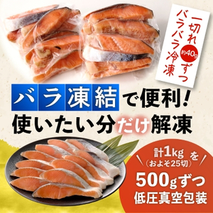 無添加・無塩 トラウトサーモン切身1kg入り【配送不可地域:離島】【1632507】