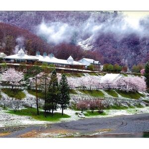 湯ったり館入浴回数券「10回券」【1630575】
