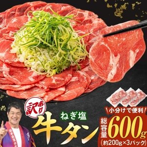 【訳あり】宮古のねぎ塩牛タン 600g 成型肉【配送不可地域：離島】【1690815】