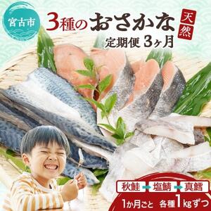 【3ヵ月毎定期便】三陸で獲れた人気の天然魚3種セットの定期便全3回【配送不可地域：離島】【4078776】