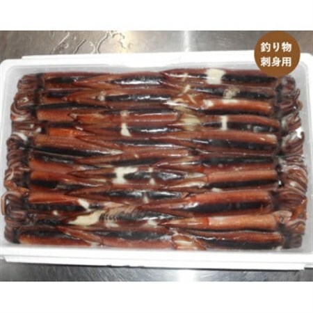 スルメイカ　30尾　約4.5kg【配送不可地域：離島】【1709991】