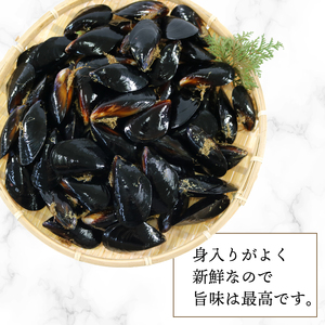 期間限定 活ムール貝 2.5kg 国産 冷蔵 ＼ ムール貝 ／