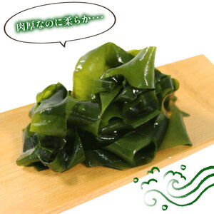 芯抜き 塩蔵 わかめ 250g×2袋 海鮮 海藻 魚貝類 魚介類 みそ汁 スープ 酢の物 小分け 三陸産 岩手県 大船渡市