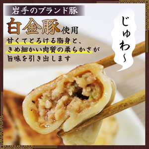 【スピード発送】 手作り餃子 30個  6個×5p 冷凍