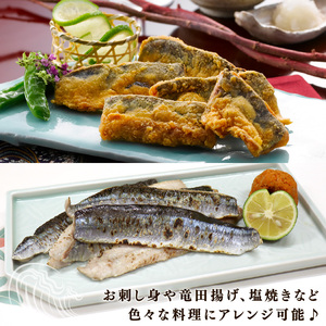 さんまスティック 500g 冷凍 魚 秋刀魚 刺し身 刺身 骨なし 簡単 手軽 便利 フライ 蒲焼 惣菜 そうざい お惣菜 簡単 お手軽 ごはん 夕飯 おかず サラダ 大船渡 三陸 岩手県 国産