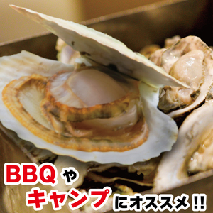 牡蠣 ホタテ カンカン 焼き かき 8個 ほたて 4枚 カキ 貝柱 殻付牡蠣 冷凍 三陸 赤崎産牡蠣 加熱用牡蠣 魚貝類 加工食品 殻付きかき 牡蠣 カキ オイスター oyster アヒージョ バーベキュー BBQ フライ 揚げ物 鍋 ごはん 夕飯 おかず おつまみ 晩酌 米 丼 海産物 海鮮 魚介 魚介類 大船渡 三陸 岩手県 国産