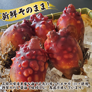 味付けほや 330ｇ×3袋 ほや ホヤ Hoya 串焼き フライ だし醤油 醤油 しょうゆ 大豆 出汁 だし ごはん 夕飯 おかず おつまみ 晩酌 米 丼 海産物 海鮮 魚介 魚介類 大船渡 三陸 岩手県 国産