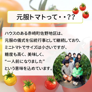 赤崎元服トマト 500g フルーツトマト 野菜 とまと 糖度9 ミニトマト あまい 甘い 甘いトマト リコピン 食品 旨味 ミネラル ビタミンC 栄養 自宅用 お試し ごはん 夕飯 おかず サラダ 国産 三陸 岩手県 大船渡市