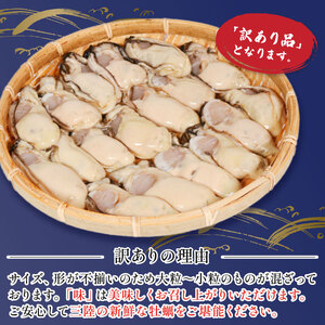 訳あり 生かき 500g かき 牡蠣 むきかき 牡蠣フライ かきご飯 海鮮 貝 おかず おつまみ むき身かき