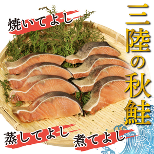 三陸産 秋鮭 無塩 8切れ ＆ イカの一夜干し 4枚 セット さけ 秋 切身 切り身 いか 烏賊 一夜干し 干物 セット 魚 魚介 海産物 三陸 大船渡