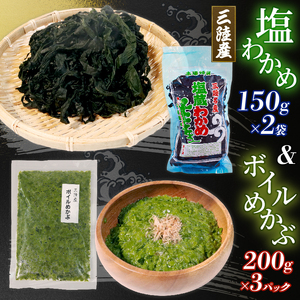 海の幸セット A-2 塩ワカメ150g×2袋 ボイルめかぶ200g×3パック わかめ メカブ 海藻 海産物 セット ボイル 小分け 三陸 大船渡