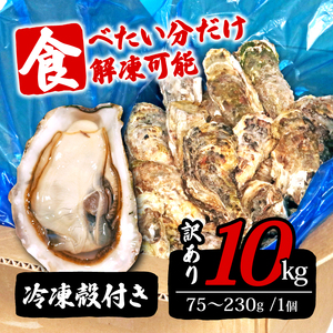 岩手県産冷凍殻付き牡蠣 10kg 生食可 殻付 殻付き 生食 冷凍 殻付き 生食用 訳あり 大きさ不揃い 不揃い かき 牡蠣 カキ  オイスター oyster アヒージョ バーベキュー BBQ フライ 揚げ物 鍋 ごはん 夕飯 おかず おつまみ 晩酌 米 丼 海産物 海鮮 魚介 魚介類 大船渡 三陸 岩手県 国産