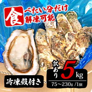 訳あり 岩手県産冷凍殻付き牡蠣 5kg（生食可) 殻付き 牡蠣 かき 殻付 生食 生食用 冷凍 大きさ不揃い 不揃い かき 牡蠣 カキ  オイスター oyster アヒージョ バーベキュー BBQ フライ 揚げ物 鍋 ごはん 夕飯 おかず おつまみ 晩酌 米 丼 海産物 海鮮 魚介 魚介類 大船渡 三陸 岩手県 国産