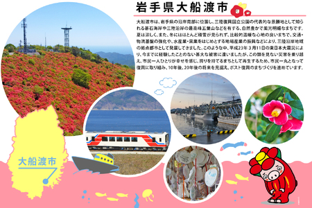 マンボウ正肉 600g 鮮魚 刺身 海鮮 魚 冷凍 生食可 フライ 煮物  お供  おつまみ 刺身