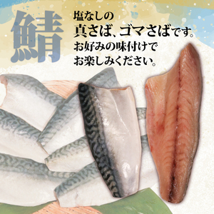 サバフィレ 800g (400g×2袋) 鯖 サバ さば 無塩サバ 魚 魚介 冷凍 国産 焼き物 焼きサバ 真サバ ゴマさば 煮物 ご飯のお供 三陸産 岩手県 大船渡市