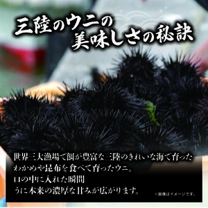 訳あり 半生うに 100g 冷凍 うに キタムラサキウニ ミョウバン不使用 生うに ウニ 雲丹 寿司 Sea urchin 新鮮 ごはん 夕飯 おかず おつまみ 晩酌 米 丼 海産物 海鮮 魚介 魚介類 大船渡 三陸 岩手県 国産 うに