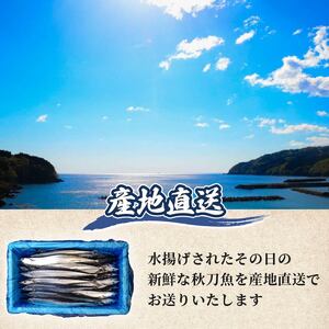 【2025年先行予約】 訳あり 鮮さんま 約2kg 冷蔵 秋刀魚 サンマ 生サンマ 海産物 海鮮 魚介 魚介類 大船渡 三陸 岩手県 国産