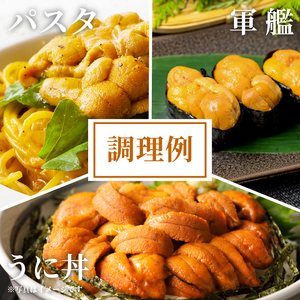 浜ゆで うに 100g×1 ウニ 雲丹 茹でうに 冷凍 寿司 Sea urchin 新鮮 直送 産地直送 ごはん 夕飯 おかず おつまみ 晩酌 米 丼 海産物 海鮮 魚介 魚介類 大船渡 三陸 岩手県 国産