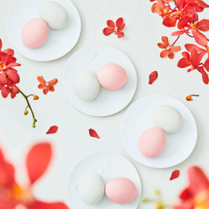 紅白かもめの玉子 12個 菓子 お菓子 スイーツ おやつ 銘菓 個包装 贈答 のし プレゼント 祝い 父の日 母の日 お歳暮 お中元 さいとう製菓 三陸 岩手県 大船渡市