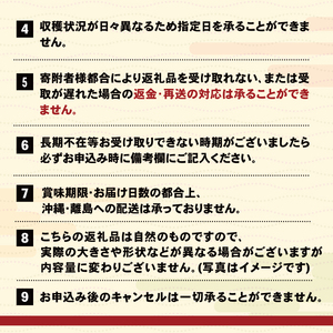 先行予約 無添加 生うに 100g 冷蔵 雲丹 寿司 キタムラサキウニ 小分け ウニ丼 うに ウニ 雲丹 寿司 Sea urchin 新鮮 直送 産地直送 生食 生 ごはん 夕飯 おかず おつまみ 晩酌 米 丼 海産物 海鮮 魚介 魚介類 大船渡 三陸 岩手県 国産