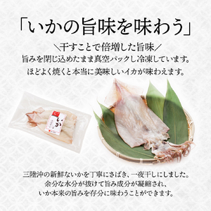 いかの天日干し 中サイズ 3枚 小分け パック 海鮮 魚介類 イカ 烏賊 おつまみ 三陸産 岩手県 大船渡市