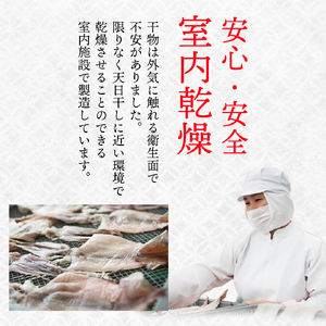 いかの天日干し 中サイズ 3枚 小分け パック 海鮮 魚介類 イカ 烏賊 おつまみ 三陸産 岩手県 大船渡市