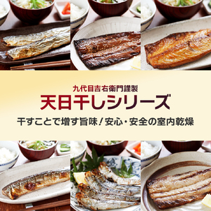 干物 ＆ レンチン おまかせ 福袋セット 小分け パック 海鮮 惣菜 おかず お手軽 おつまみ 岩手県 大船渡市