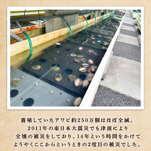 翡翠のしずく ストラップ 1個 復興 三陸 翡翠あわび 簡易包装 鮑 蝦夷あわび アワビ 鮑 Abalone 海産物 海鮮 魚介 魚介類 贈答 プレゼント ペア 手作り 大船渡 災害 被災 火災 岩手県 国産