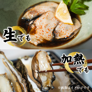 生食可 冷凍牡蠣 12個 牡蠣
