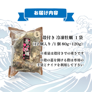 生食可 冷凍牡蠣 12個 牡蠣