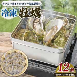 殻付き牡蠣 12個 カンカン焼きのおかわり 加熱用 殻付き牡蠣 加工食品 冷凍 鍋 かき 牡蠣 カキ  オイスター oyster アヒージョ バーベキュー BBQ フライ 揚げ物 ごはん 夕飯 おかず おつまみ 晩酌 米 丼 海産物 海鮮 魚介 魚介類 贈答品 お中元 大船渡 三陸 岩手県 国産 牡蠣 9,500円