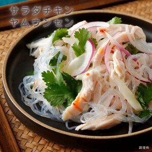 サラダチキン ガーリック味 100g×5個 リン酸不使用 冷凍 鶏肉 サラダ スパイス お弁当 おかず