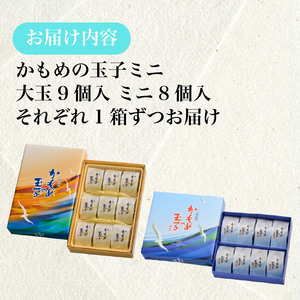 かもめの玉子 レギュラーサイズ＆ミニサイズセット ( レギュラー9個入×1箱 / ミニ8個入×1箱 )