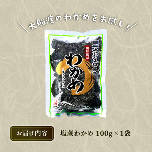 わかめ 100g 湯通し塩蔵わかめ 9月以降順次発送予定 海鮮 海藻 魚貝類 魚介類 小分け みそ汁 スープ 酢の物 三陸産 岩手県 大船渡市