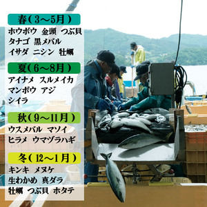 鮮魚便 獲れたて 4～7匹 刺し身 ＼ 刺身 ／