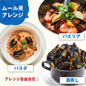 【8月～12月発送】 国産 活ムール貝 3.3kg ＼ ムール貝 ／