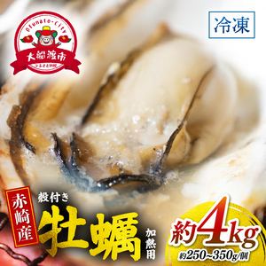 牡蠣 三陸赤崎産 4kg ＼ 牡蠣 ／