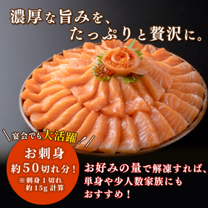 サーモン 800g 国産 刺身 \ サーモン /