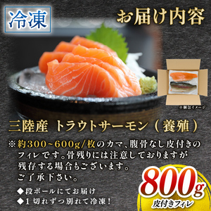 サーモン 800g 国産 刺身 \ サーモン /