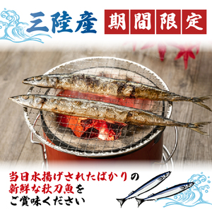 【2026年先行予約】 さんま 約1kg ＼ 秋刀魚 ／ 冷蔵