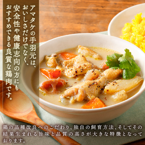 ゴロゴロ野菜のスープカレー 3袋 ＼ 常温 ／