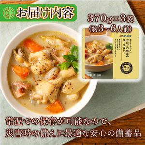 ゴロゴロ野菜のスープカレー 3袋 ＼ 常温 ／