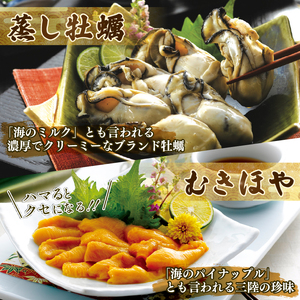 三陸の海鮮福袋 3種セット \ 福袋 /