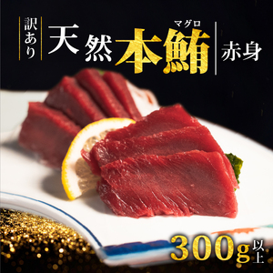 【スピード発送】 訳あり 天然本まぐろ 赤身300g以上 まぐろマグロ