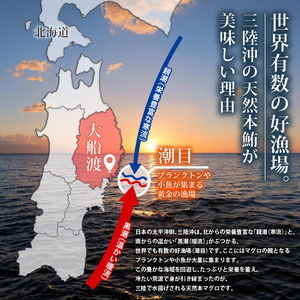 【スピード発送】 訳あり 天然本まぐろ 中トロ600g以上 まぐろ