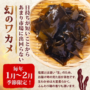 先行予約 早採り生わかめ 600g(200g×3) わかめ