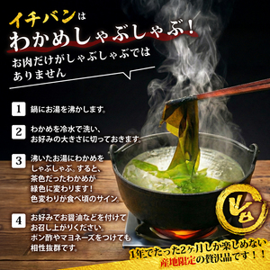 先行予約 早採り生わかめ 600g(200g×3) わかめ