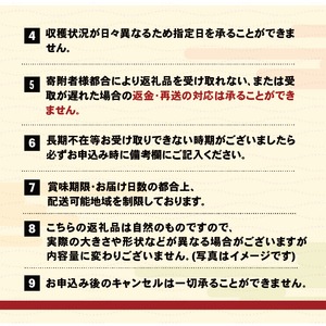 先行予約 早採り生わかめ 600g(200g×3) わかめ
