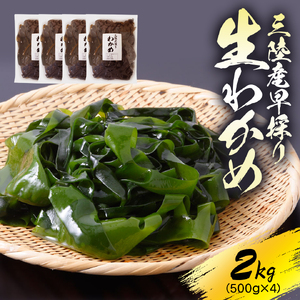 先行予約 早採り生わかめ 2kg (500g×4) わかめ