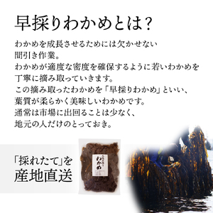 先行予約 早採り生わかめ 2kg (500g×4) わかめ